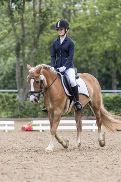 Bild 76 - Pony Akademie Turnier